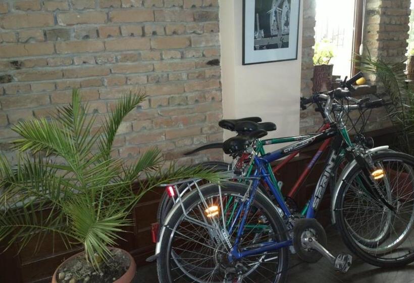 בית מלון כפרי Selena