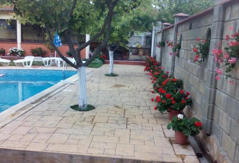 בית מלון כפרי Sunny Park