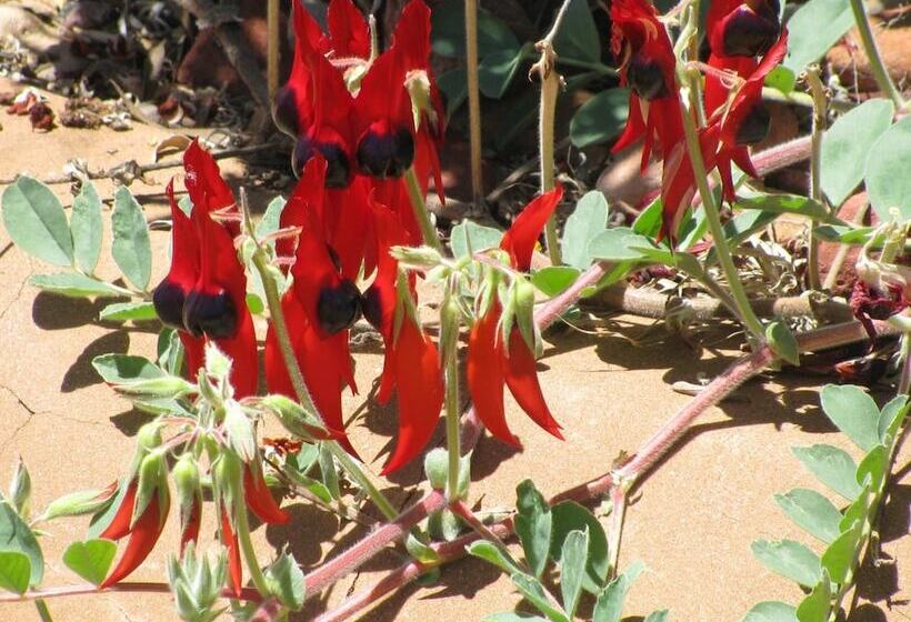 Kathys Place Bed And Breakfast