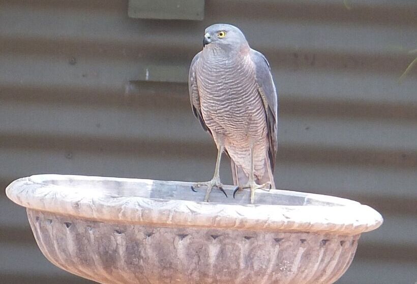 Kathys Place Bed And Breakfast