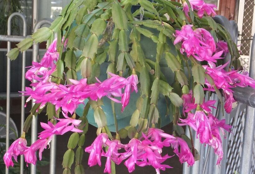 Kathys Place Bed And Breakfast