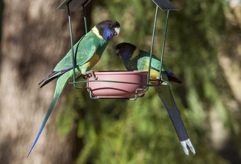 Kathys Place Bed And Breakfast