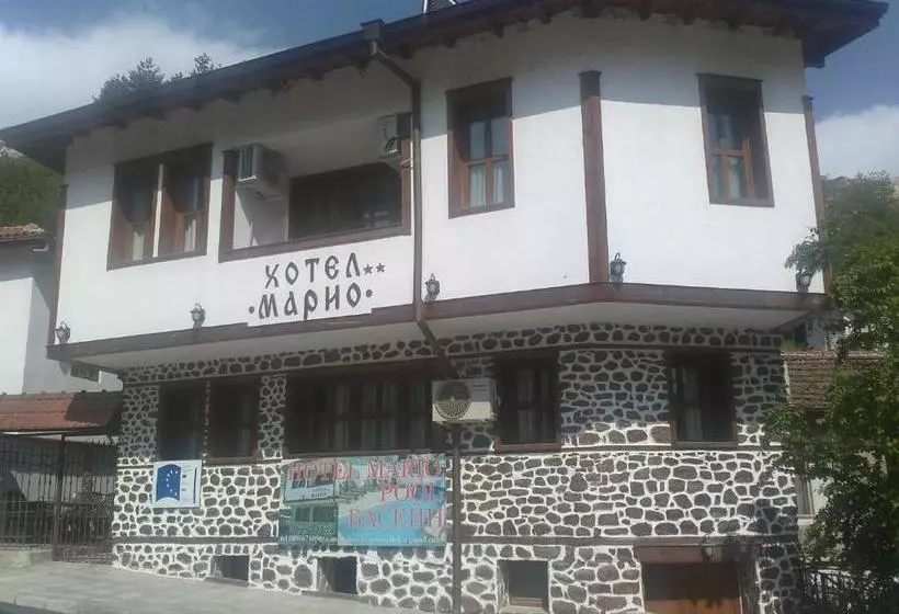 Hotel Mario Complex