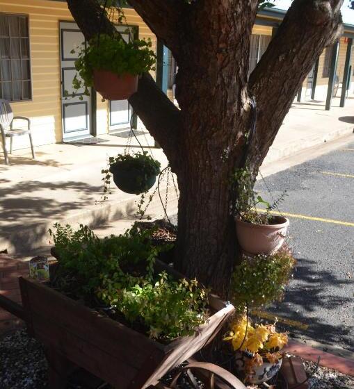 Ten Dollar Town Motel