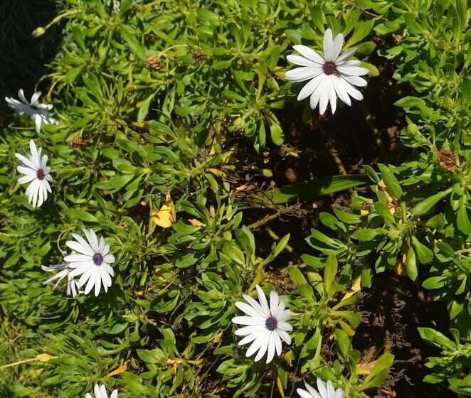 Ten Dollar Town Motel