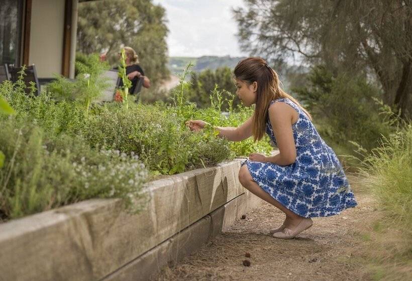 הוסטל Yha Apollo Bay Eco