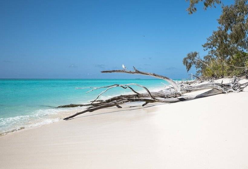 호스텔 Cool Bananas Backpackers