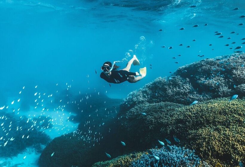 호스텔 Cool Bananas Backpackers