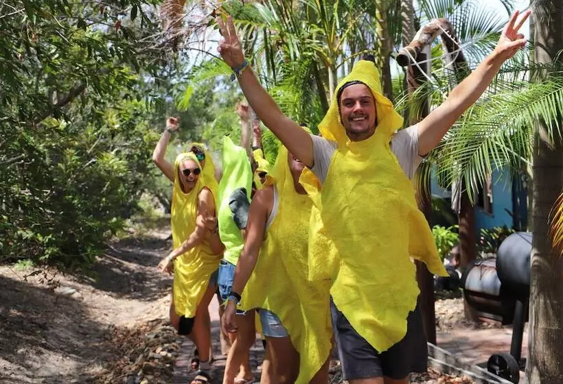 Retkeilymaja Cool Bananas Backpackers