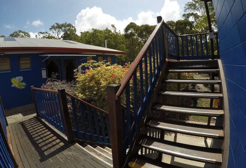 호스텔 Cool Bananas Backpackers