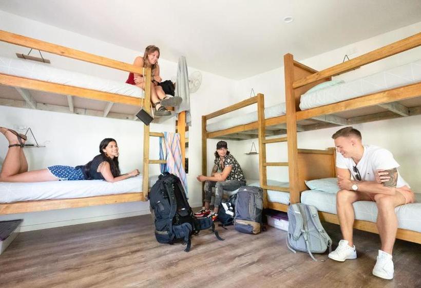 旅馆 Samurai Beach Bungalows Port Stephens Yha