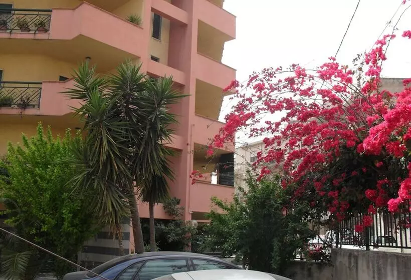 تختخواب و صبحانه Agave