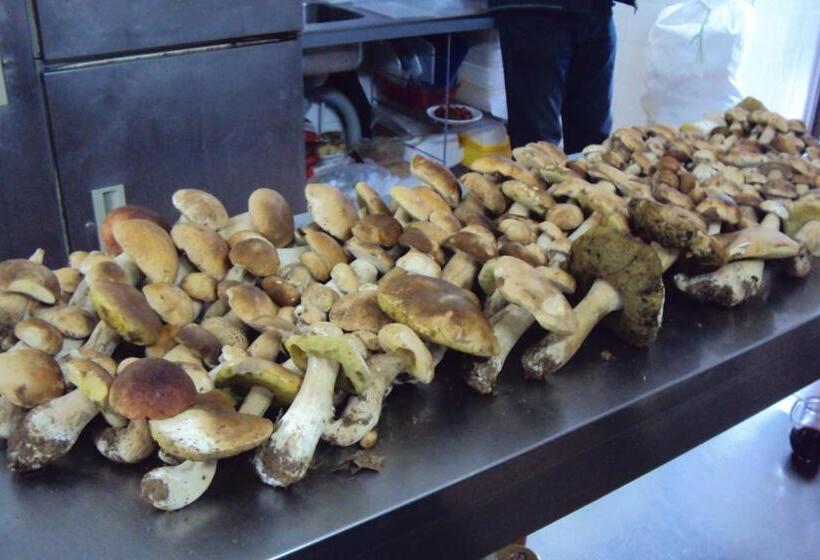 Bed and Breakfast Locanda Degli Sfizi