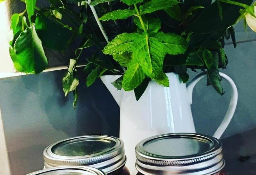 Bed and Breakfast The Bundanoon Guest House