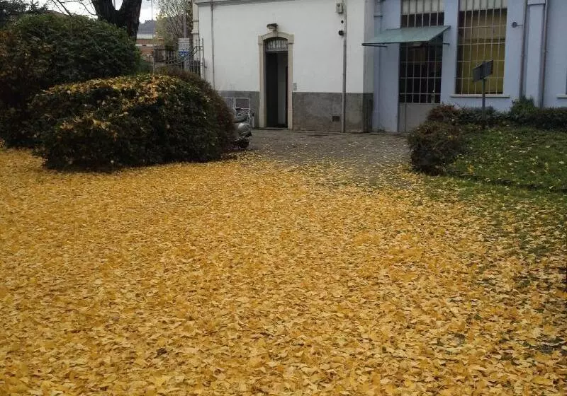 تختخواب و صبحانه Gio El Happiness Guest House