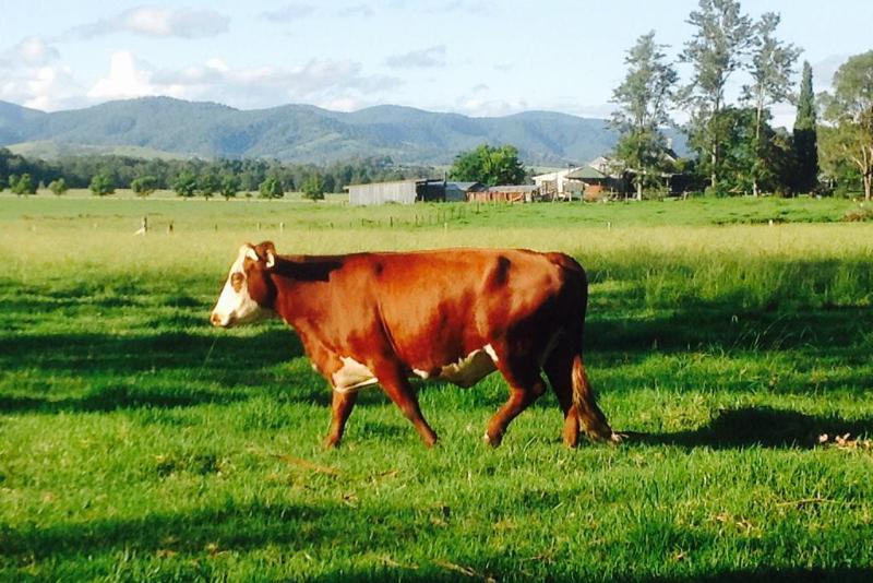 モーテル Gloucester Country Lodge