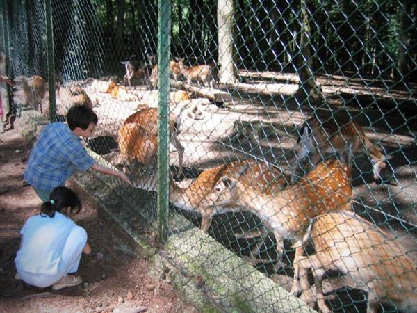 בית מלון כפרי Albergo Villa Bianca