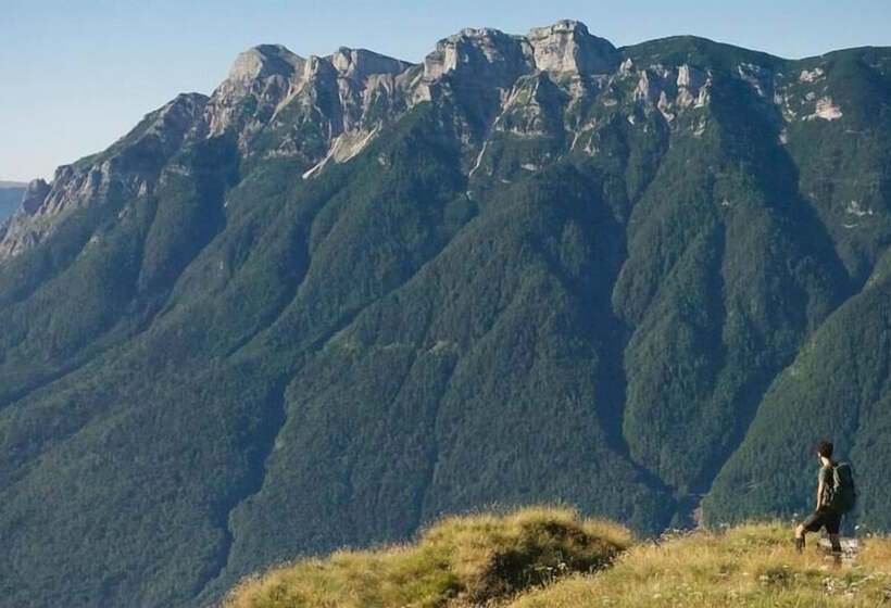 Отель Alpenrose Wellness