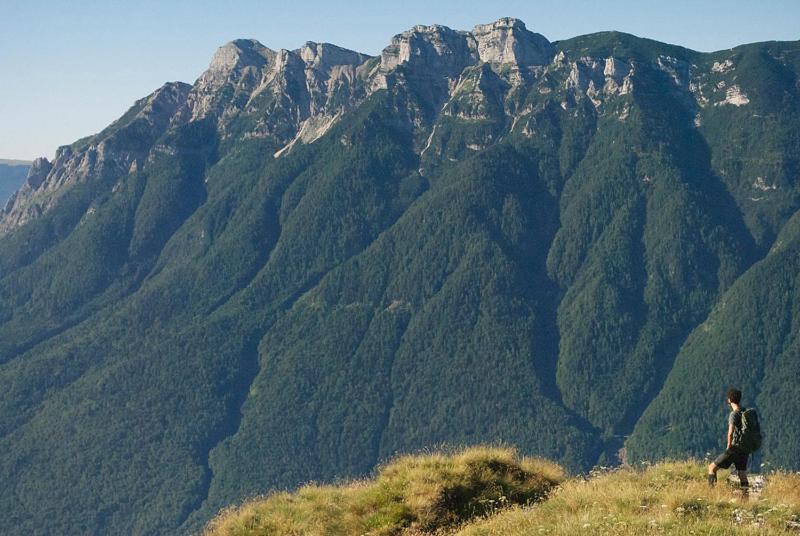 Отель Alpenrose Wellness