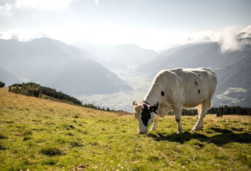 酒店 Gasthaus Post