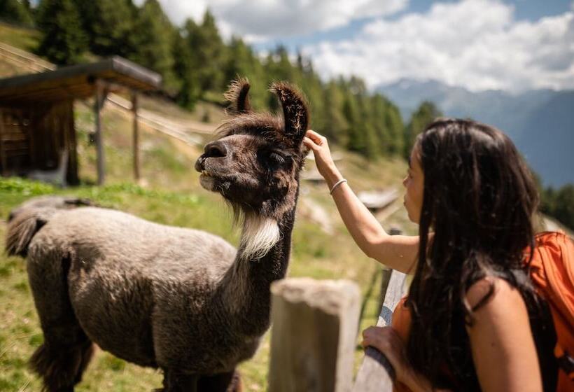 酒店 Gasthaus Post