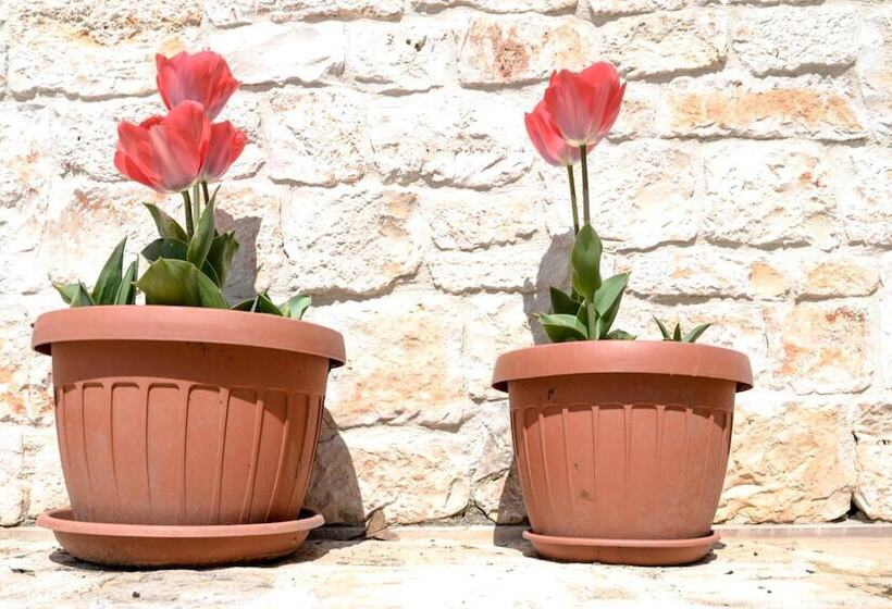 בית מלון כפרי Masseria Gravelle