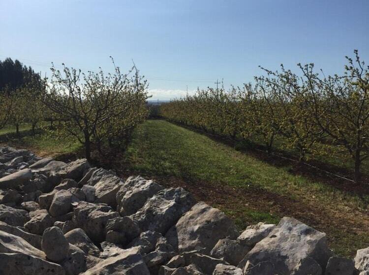 בית מלון כפרי Masseria Gravelle