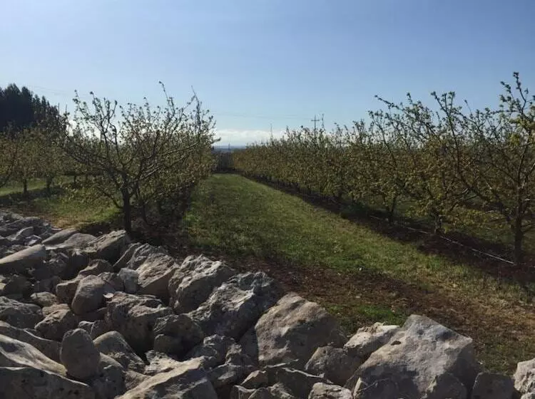 Hotelli Masseria Gravelle