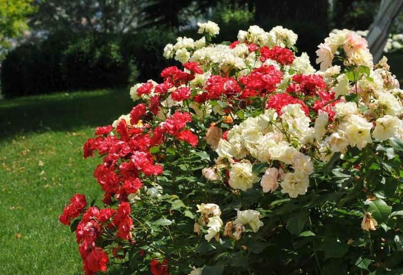 فندق Villa Pattono Relais