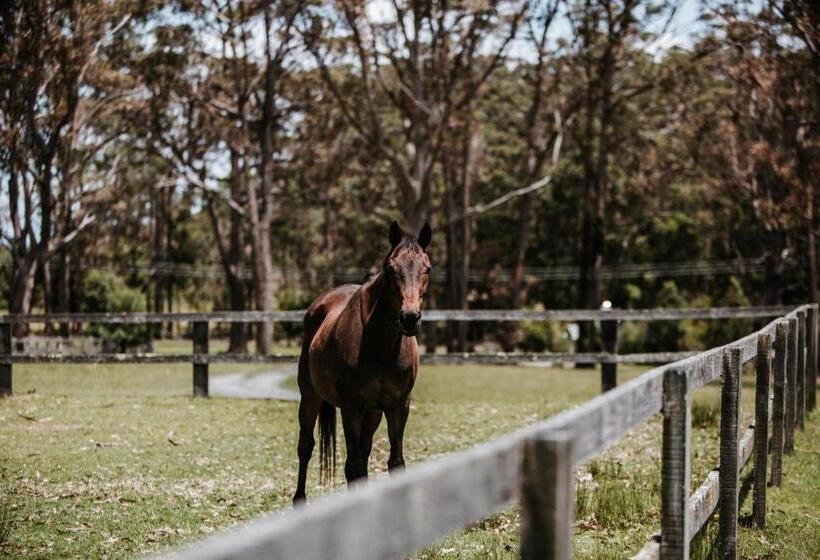 渡假胜地 Worrowing Jervis Bay