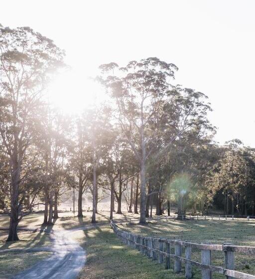 渡假胜地 Worrowing Jervis Bay