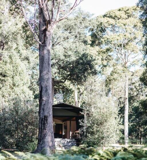 渡假胜地 Worrowing Jervis Bay