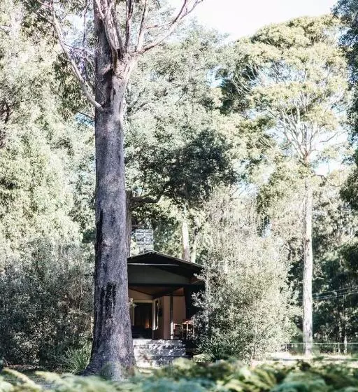 استراحتگاه Worrowing Jervis Bay