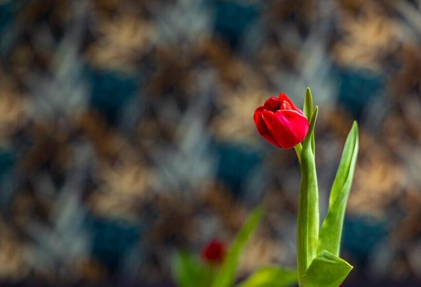 צימר Panorama Villa