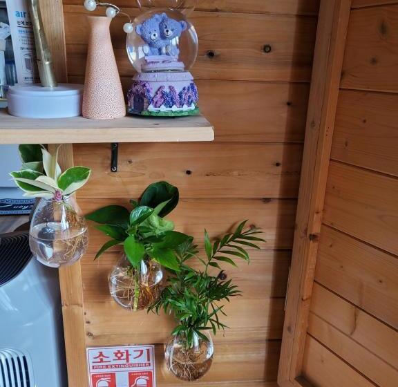 پانسیون Sky Karaoke