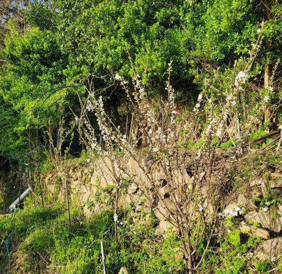 پانسیون Sky Karaoke