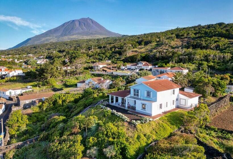 پانسیون The Blue Eden