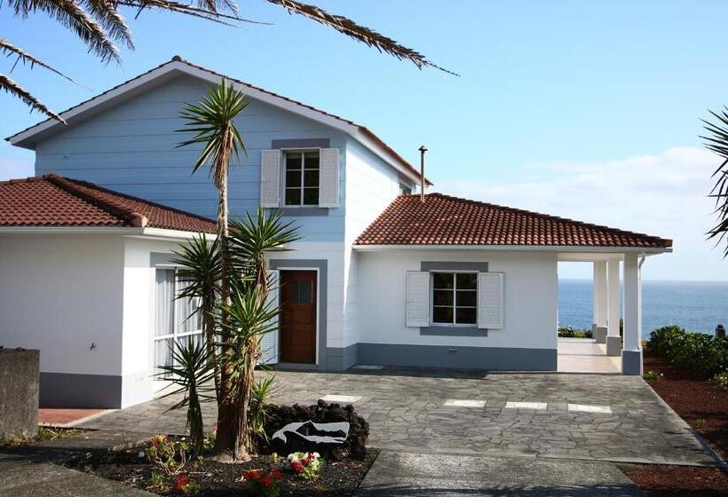 پانسیون The Blue Eden