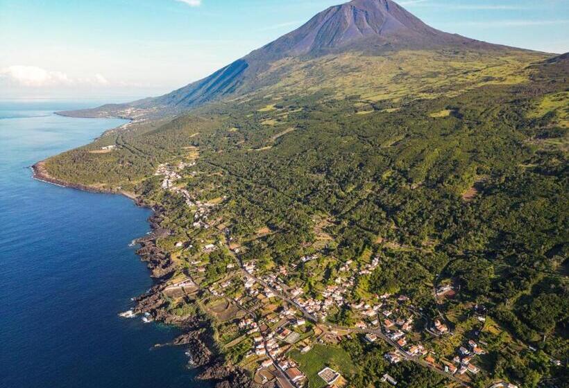 پانسیون The Blue Eden