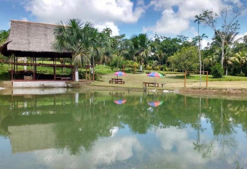 Pension Villa Chachyta