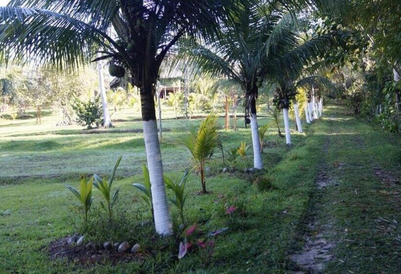 Pension Villa Chachyta