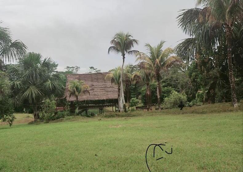 Pension Villa Chachyta