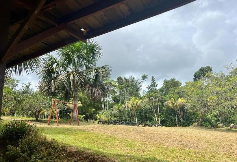 Pension Villa Chachyta