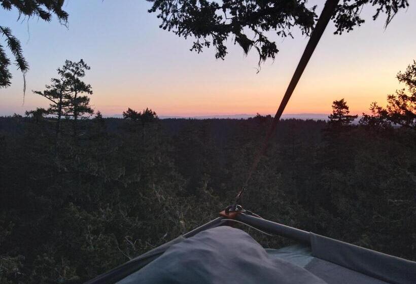 ベッドアンドブレックファースト Tree Climbing At Silver Falls
