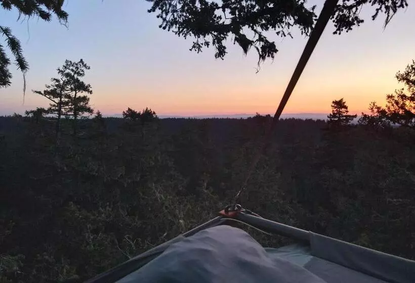 ベッドアンドブレックファースト Tree Climbing At Silver Falls