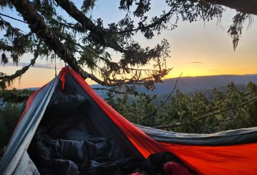 ベッドアンドブレックファースト Tree Climbing At Silver Falls