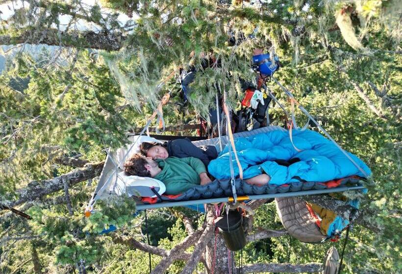 ベッドアンドブレックファースト Tree Climbing At Silver Falls
