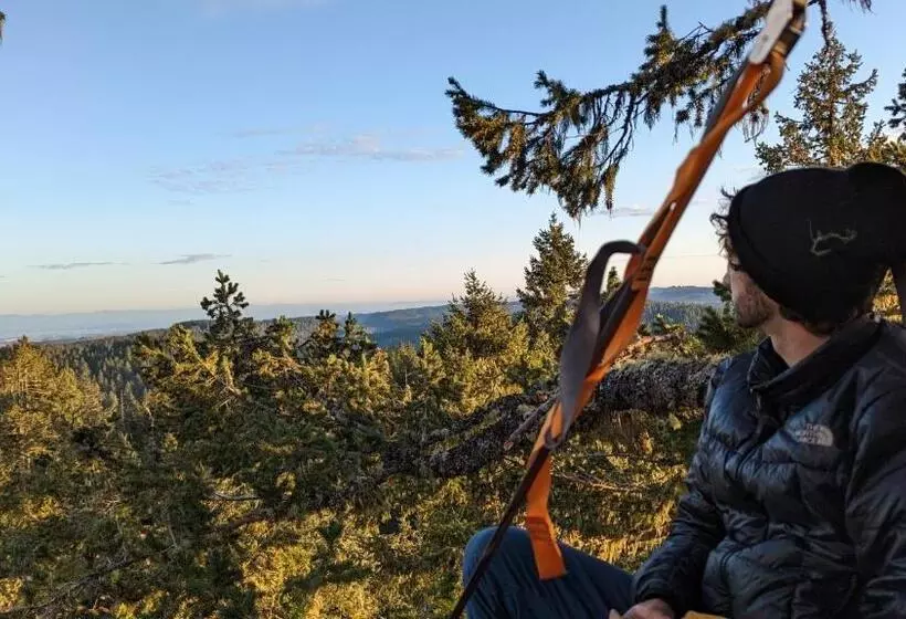 ベッドアンドブレックファースト Tree Climbing At Silver Falls