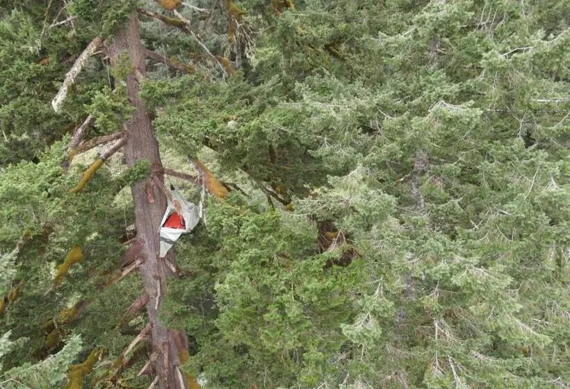 ベッドアンドブレックファースト Tree Climbing At Silver Falls