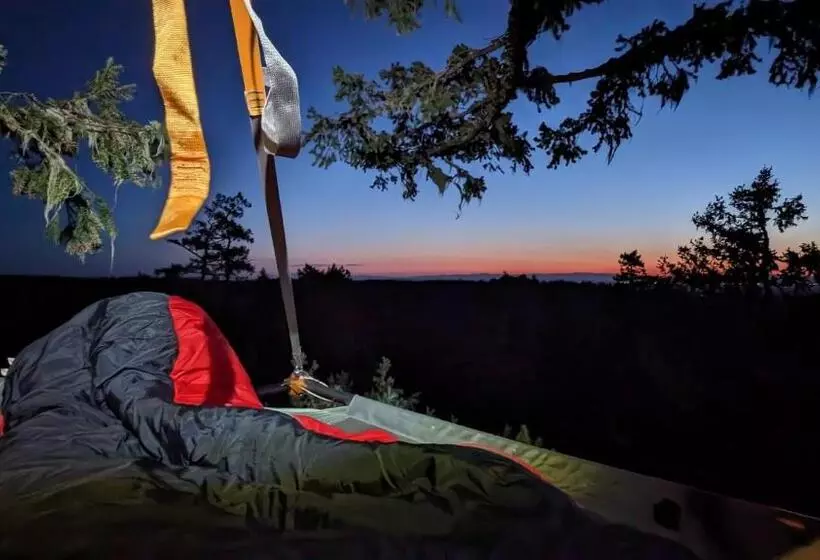 ベッドアンドブレックファースト Tree Climbing At Silver Falls